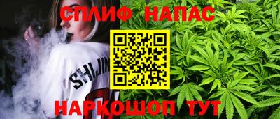 прущие грибы Ливны