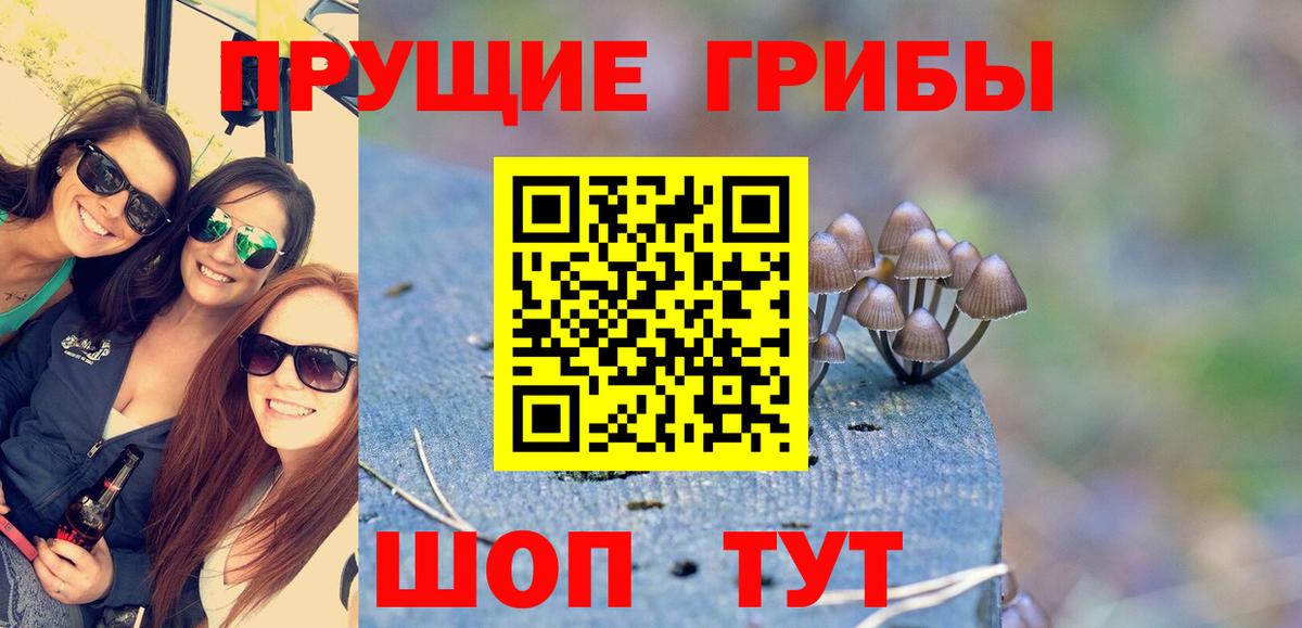 Псилоцибиновые грибы MAGIC MUSHROOMS  Вход с VPN  Дзержинский 